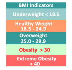 Overweight and Obesity treatment center in Hawaii